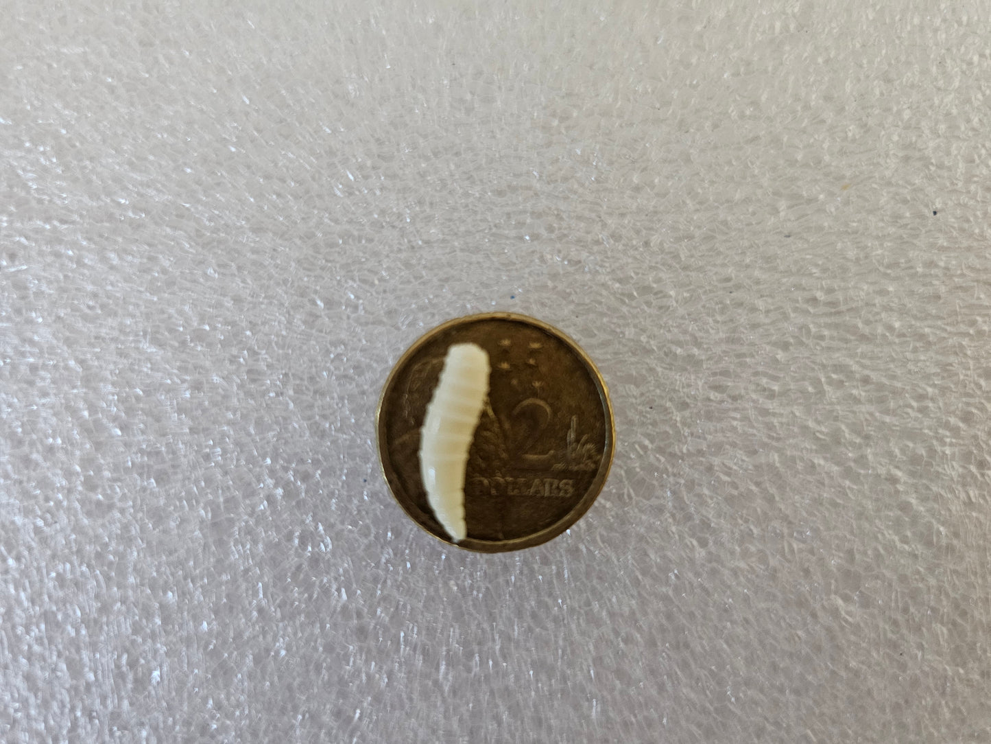 LIBO Soft Plastic Maggots