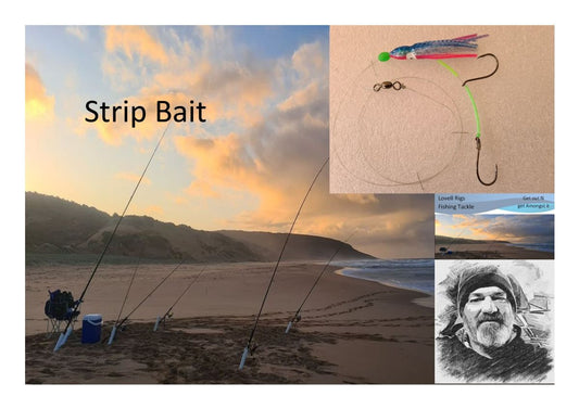 Strip Bait Leader Multi Pack