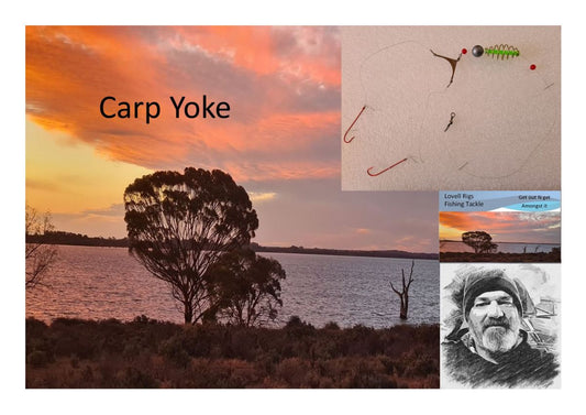 Carp Yoke Rig Multi Pack